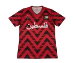 Camiseta Palestina Concepto